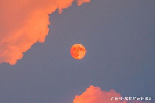 十二星座被拉黑后的心理状态,谁最在意 谁又最云淡风轻