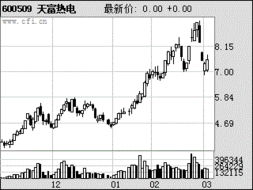 天富热电(600509)怎么样呢？求高手指点