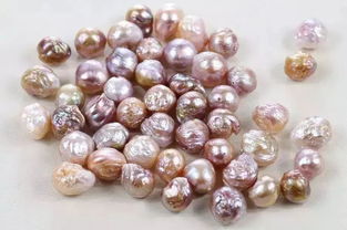 珍珠品种排名,珍珠品种排名爱迪生