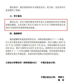 各位大虾：报告期内有一年的审计报告为保留意见怎么处理