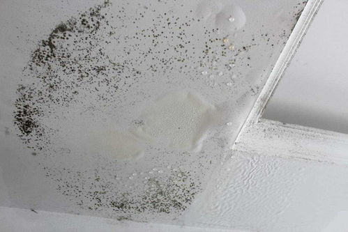 家里空气干燥怎么改善 室内湿度多少合适