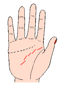 教你怎么看手相 简单看手纹知健康 手相算命图解 