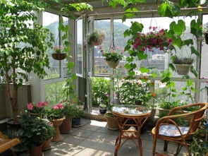 家里阳台怎么弄棚子养花