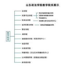 政法学院,山东,毕业论文,查重率