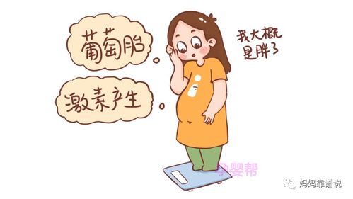 怀孕几个月 显怀 正常 , 这个时间 正合适