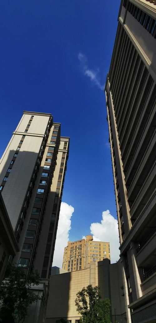 今日拍图 手机也可拍摄好城市高层建筑