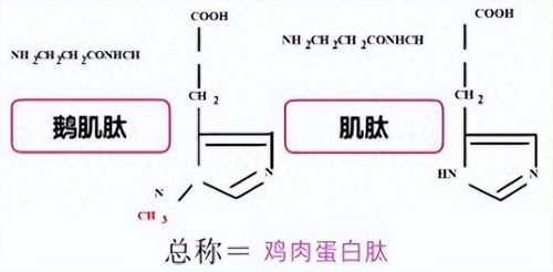 关键词规律降重