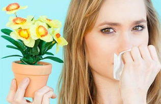 鼻炎会流清鼻涕吗,过敏性鼻炎会流清鼻涕吗