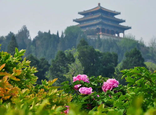 24节气谷雨代表什么意思