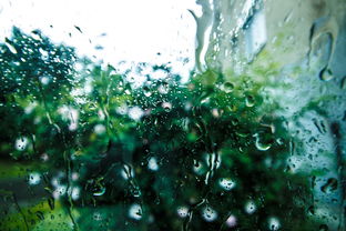 觉雨的深意，一场雨中的心灵洗礼，觉雨是什么意思