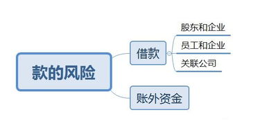 股东长期借款可以视同分红，那么哪些情况下不视同分红