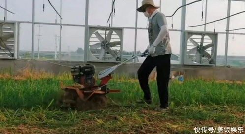 47岁高虎吸毒退圈6年后转行,下地种田搞农业,透露发小黄渤近况