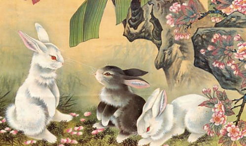 属兔人出生在以下四个月份的,一生的神仙庇佑,尽享荣华富贵
