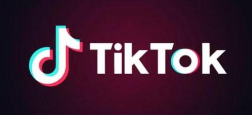 tiktok企业账号注册_TikTok Shop小店入驻