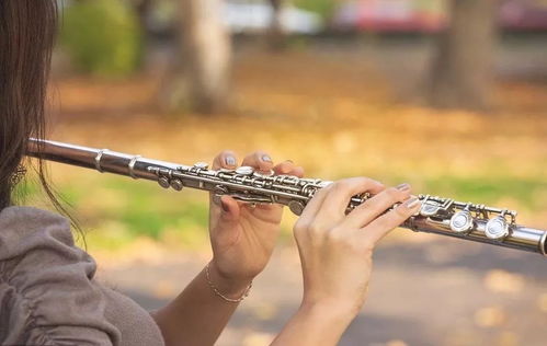 学习长笛的方法你都知道吗