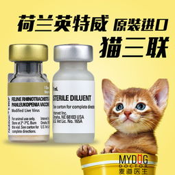 猫的体内驱虫和猫三联疫苗接种有顺序吗 