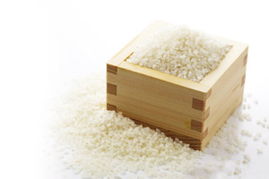 土豪大米100元一斤 拥有日本软米基因
