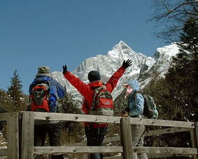 冷知识 泰国的大象没见过雪非洲的大象天天看 海拔和温度有关