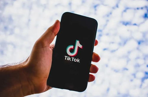 TikTok适合做跨境电商的有哪些类型你是哪一类_商户账号tiktok