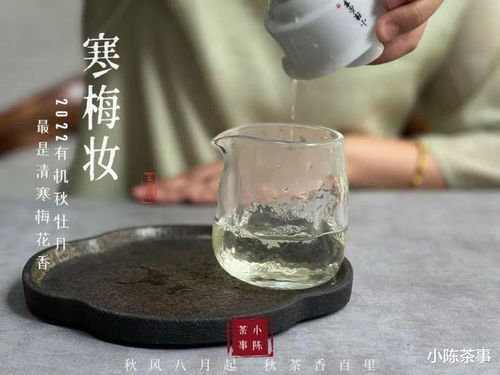 泡遍六大茶类,比起玻璃杯泡茶,为什么老茶客更喜欢用盖碗