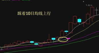 上升趋势回踩到什么位置可以买入