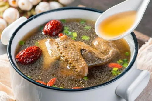 鸽子汤的功效与作用,鸽子汤怎么炖好喝又营养