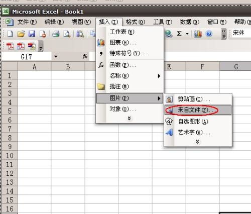 怎样把图片格式JPEG导入excel 或者转化成excel格式 