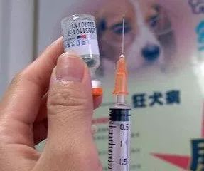 热点 紧急通知 烟台人注意 这家狂犬病疫苗厂家造假被查,全国召回疫苗 