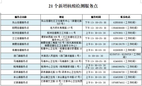 假名查重技巧分享：如何确保查重结果的准确性