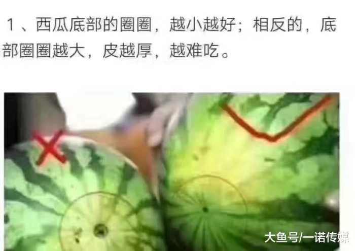 买的西瓜不熟怎么办 分享一个祖传秘方给你 