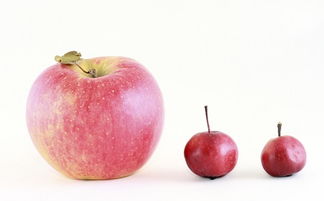 哪种水果减肥最快