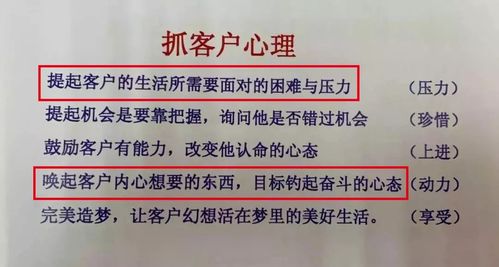 起底杀猪盘 谈了俩月的男友,把我的钱一夜卷走