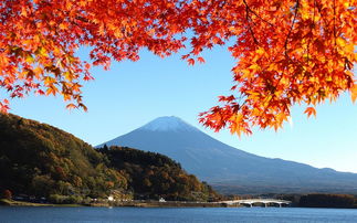 日本 富士山 秋天 红叶壁纸 信息阅读欣赏 信息村 K0w0m Com