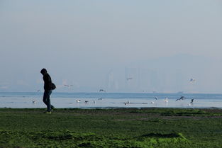 沧海一粟后半句是什么