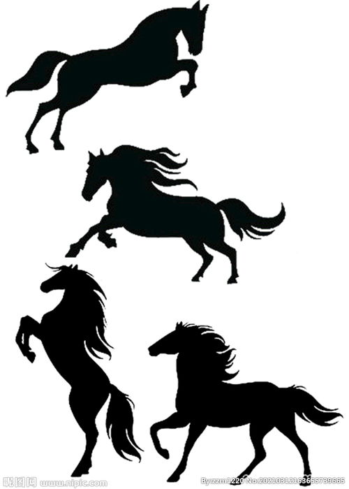马 剪影 图形 动物图片 
