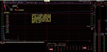 股票T+0 怎么操作.教教