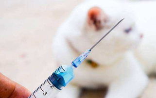 狂犬疫苗需要打几针 