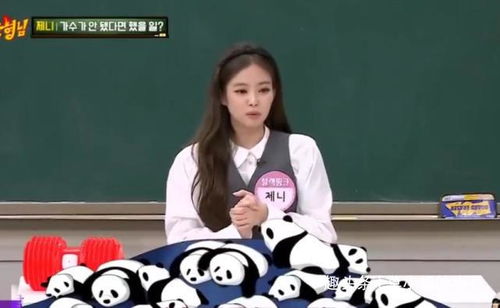 韩国女艺人违规接触熊猫幼崽,家中有饲养宠物,粉丝却还在维护