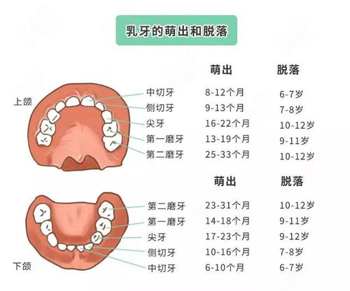 家长注意 儿童换牙期,这几点很重要