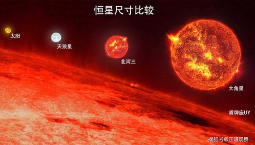 紫微星和太阳谁的地位高