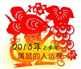 2015年属鼠的人运程,属鼠的人2015年运程