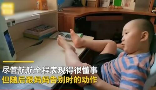 泪崩 5岁男童叮嘱再婚妈妈 你肚子里有小宝宝,不用再来看我了