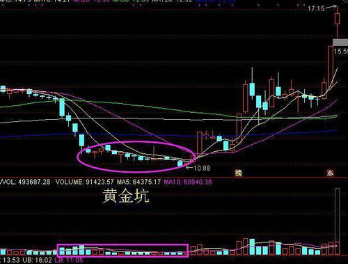 上海钢联股价走出“杯柄形态”，或将开启主升浪