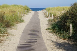 海滩,离,沙丘,水,沙,海,海岸,景观,性质,假期,沿海路径,波罗的海,北海 