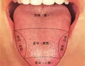 想吃冷饮 先过舌苔这一关