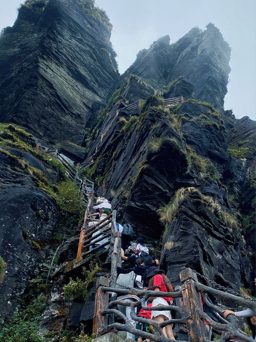 贵州 梵净山红云金顶,刺激爬山体验 含路线 