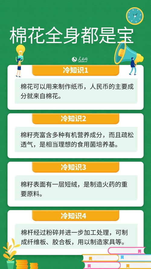 人民币的原料是棉花 棉杆可做家具 这些关于棉花的冷知识你知道吗