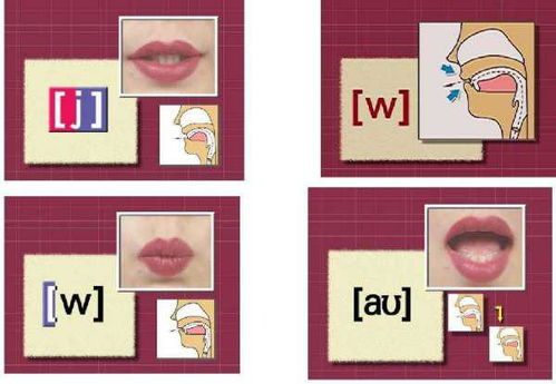 舌系带 “舌系带系”的读音是什么