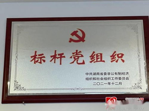 中共怀化市志愿者协会联合党支部荣获 湖南省标杆党组织 荣誉称号