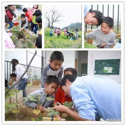 学费五万八,面向未来教育 备受福州家长关注的云开小学怎么样